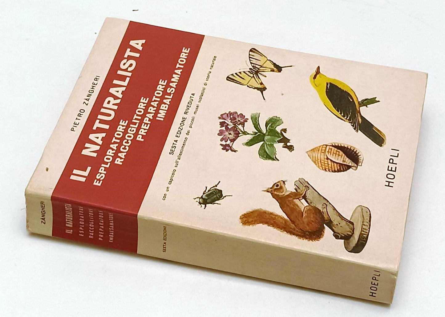 LZ- IL NATURALISTA - PIETRO ZANGHERI - HOEPLI - MANUALE - 6a ED. - 1976 - B- XFS