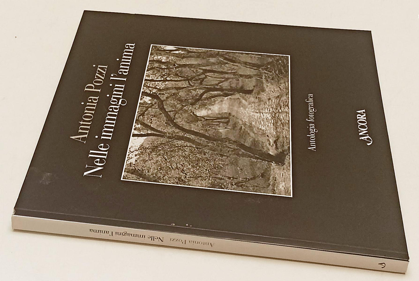 LT- ANTONIA POZZI NELLE IMMAGINI L'ANIMA ANTOLOGIA FOTOGRAFICA- ANCORA- B-YFS932