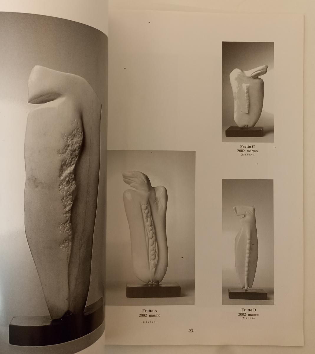 LT- NOEMI SANGUINETTI 1999/2002 OPERE 1992/2003 - COMUNE DI COSSERIA - B- XFS164
