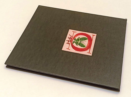LT- DODICI ACQUERELLI POESIE FOTO - SUTHERLAND CARRIERI SOAVI - OLIVETTI- YFS298