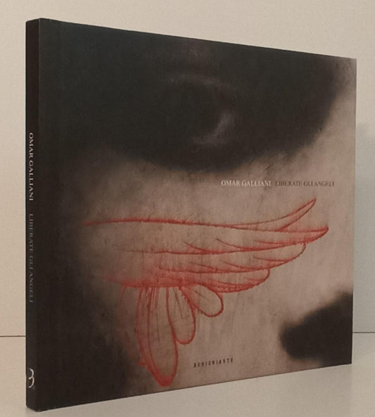 LT- OMAR GALLIANI LIBERATE GLI ANGELI CATALOGO -- BONIONIARTE--- 2013- C- YFS140