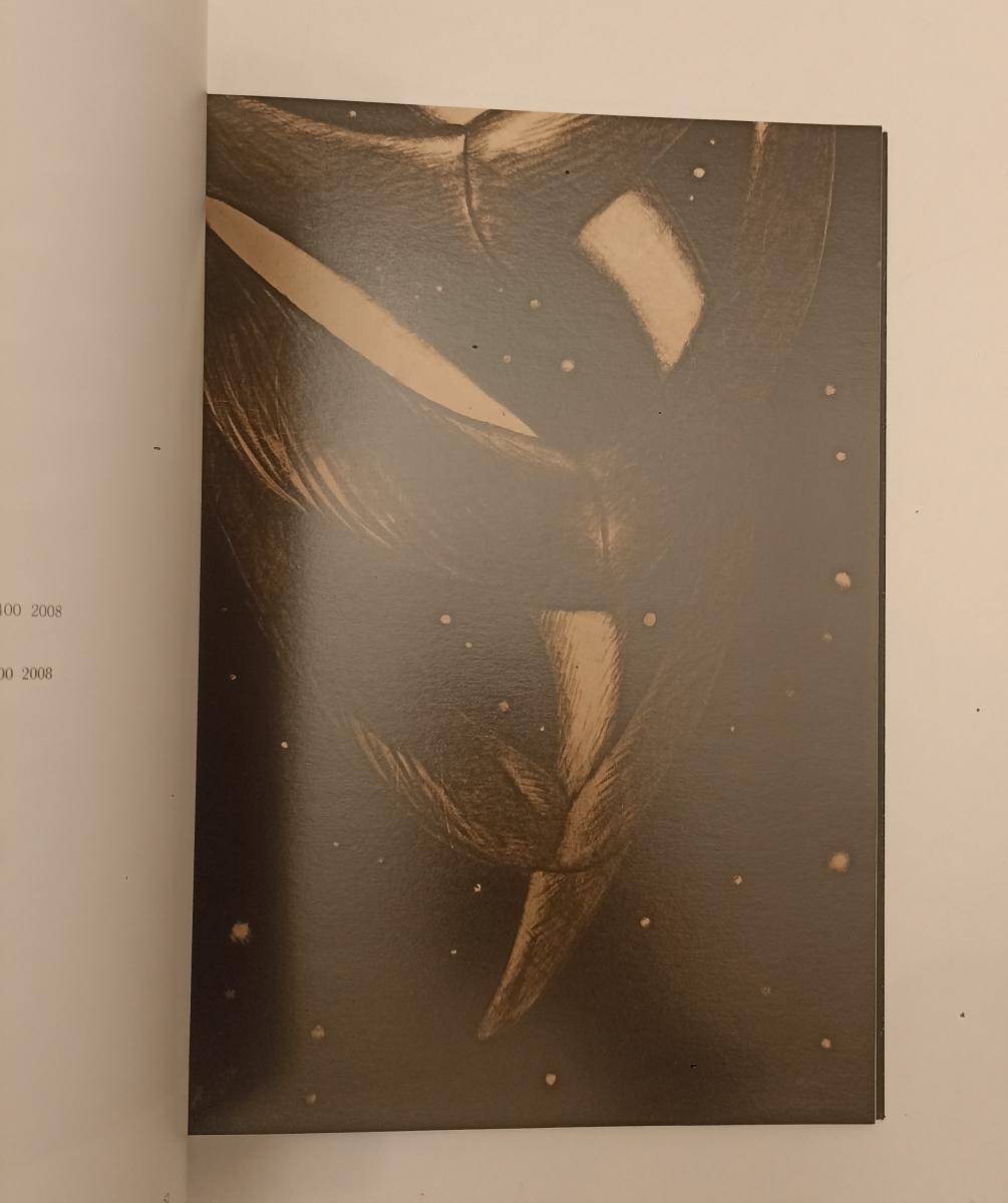 LT- OMAR GALLIANI SEOUL'S SOUL CATALOGO MOSTRA MUSEUM OF 2011 - XFS175