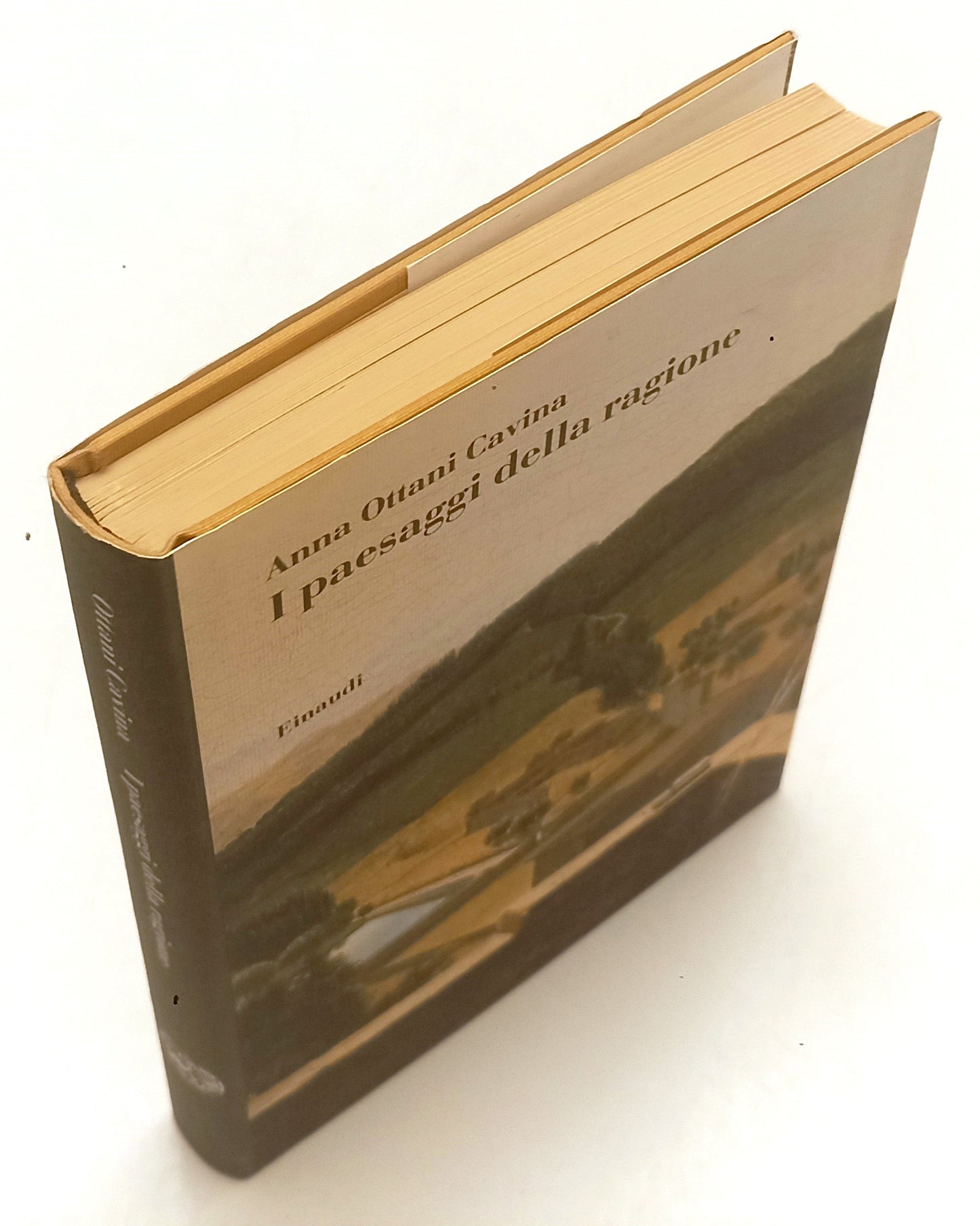 LS- I PAESAGGI DELLA RAGIONE- ANNA OTTANI CAVINA- EINAUDI- 1a ED.- 1994- CS- XFS