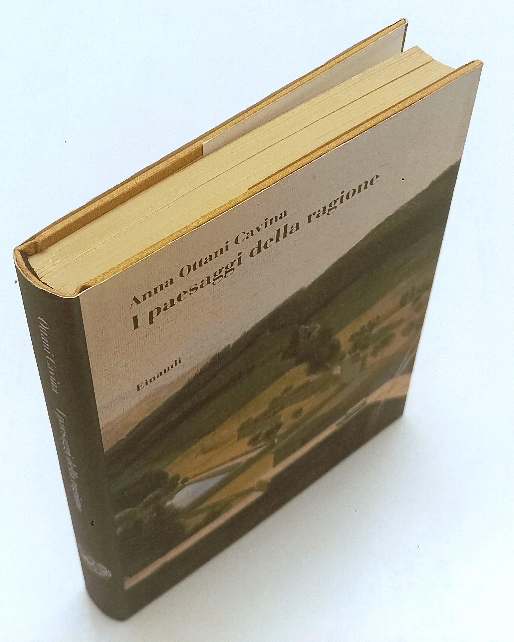 LS- I PAESAGGI DELLA RAGIONE- ANNA OTTANI CAVINA- EINAUDI- 1a ED.- 1994- CS- XFS