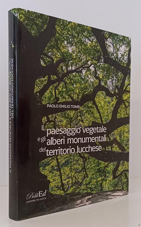 LV- PAESAGGIO VEGETALE E ALBERI MONUMENTALI TERRITORIO LUCCHESE- TOMEI-CS-YFS101