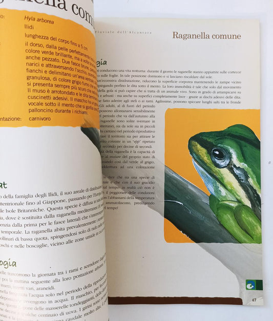 LZ- IL PAESAGGIO VEGETALE E GLI ANIMALI DEL PARCO FLUVIALE DELL'ALCANTARA-YFS865