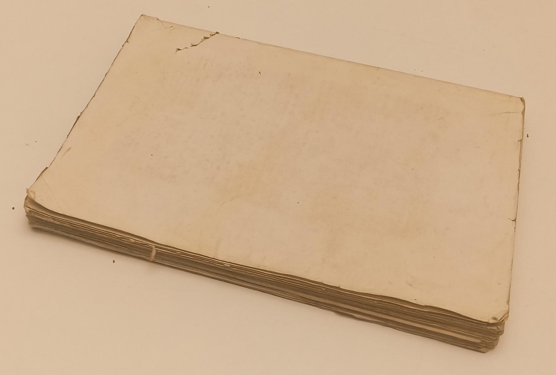 LH- NEL PAESE DEGLI ASINI - ALFREDO NOTA- BLONDI & PARMEGGIANI--- 1916- B- XFS44