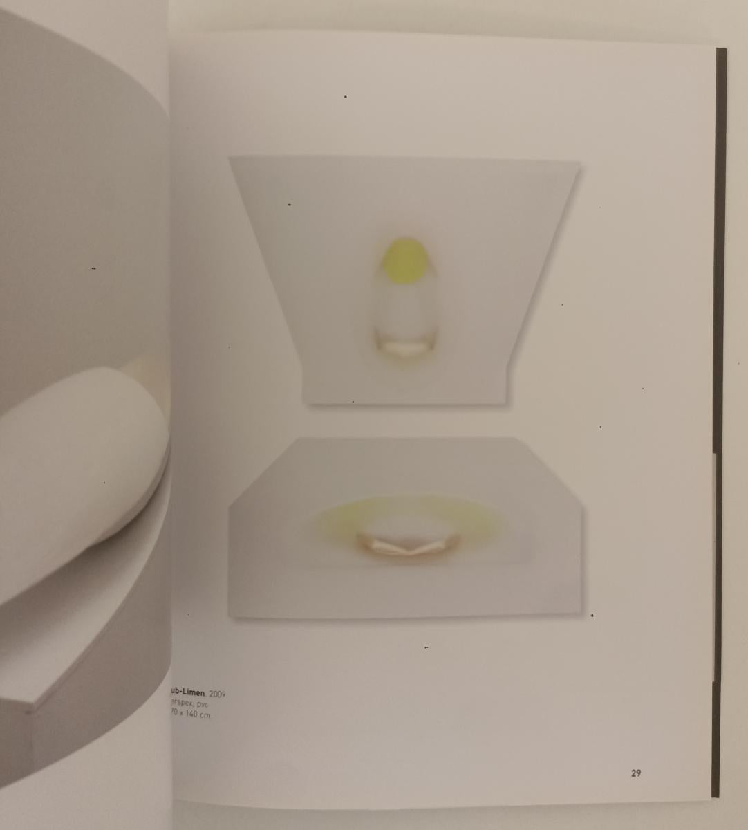 LT- PAOLO RADI OLTRE LA PITTURA PRESENZA TRA MATERIA E LUCE - FIORETTO- B-XFS161