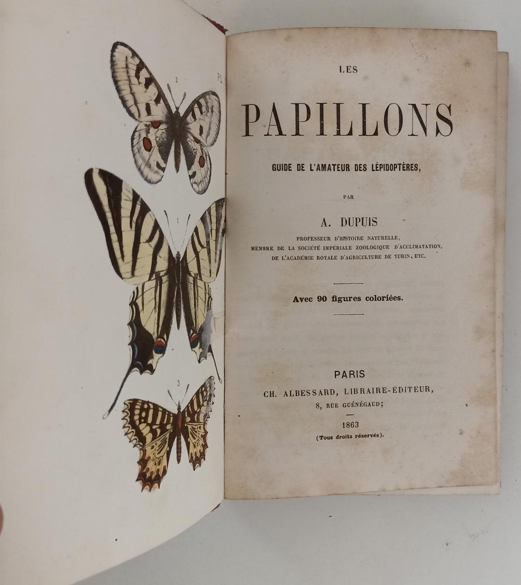 LH- LES PAPILLONS GUIDE AMATEUR LEPIDOPTERES- DUPUIS- ALBESSARD--- 1863- C-XFS53