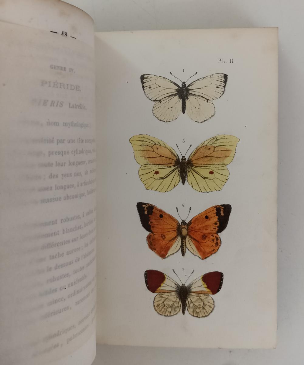 LH- LES PAPILLONS GUIDE AMATEUR LEPIDOPTERES- DUPUIS- ALBESSARD--- 1863- C-XFS53