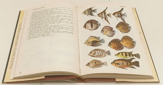 LZ- IMPARIAMO A CONOSCERE I PESCI D'ACQUARIO- PAYSAN- DeAGOSTINI- 1986- CS- ZFS9