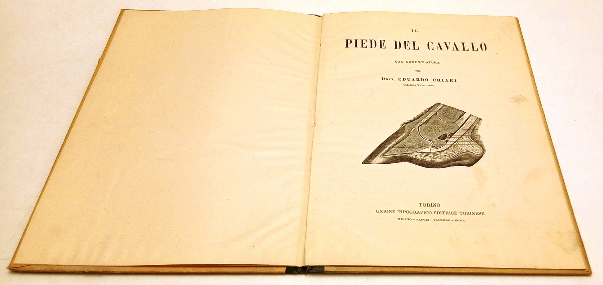 LZ- IL PIEDE DEL CAVALLO CON NOMENCLATURA - EDUARDO CHIARI - UTET ---- C- XFS132