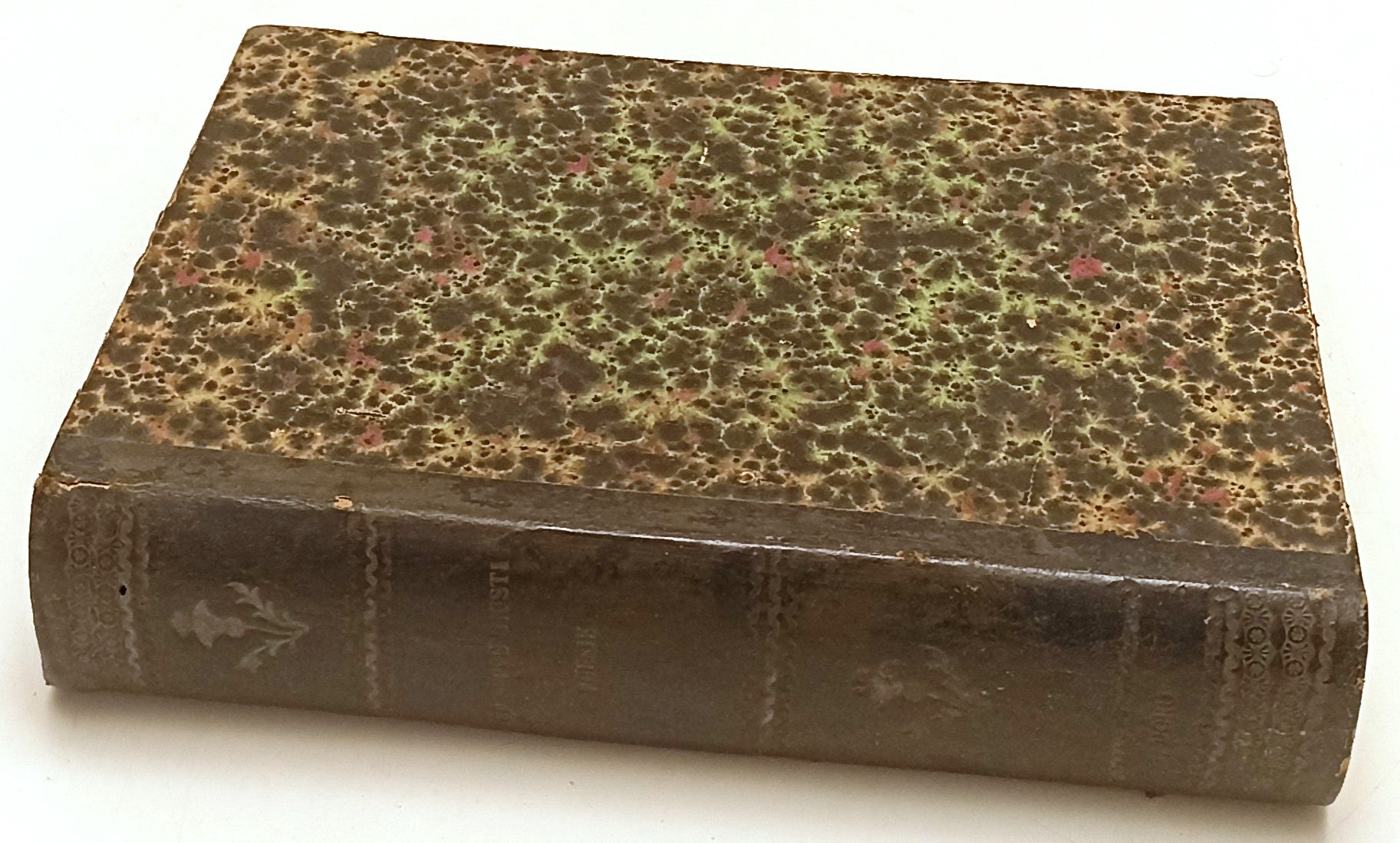 LN- POESIE DI GIUSEPPE GIUSTI ILLUSTRATA - PIETRO FANFANI- CARRARA---- C- XFS151