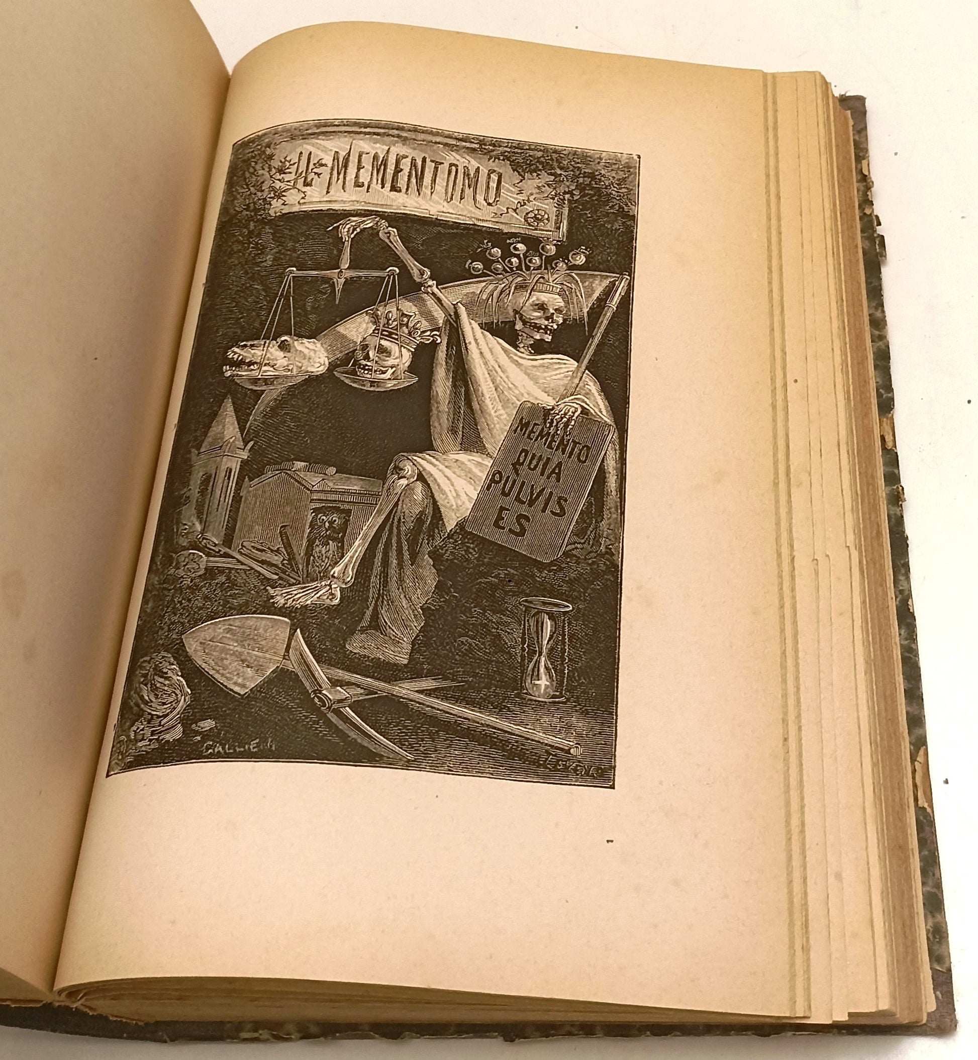 LN- POESIE DI GIUSEPPE GIUSTI ILLUSTRATA - PIETRO FANFANI- CARRARA---- C- XFS151