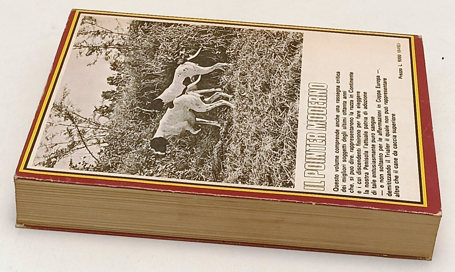 LZ- IL POINTER MODERNO - STEFFENINO - OLIMPIA - NUOVA CINOFILIA-- 1978- B- XFS74