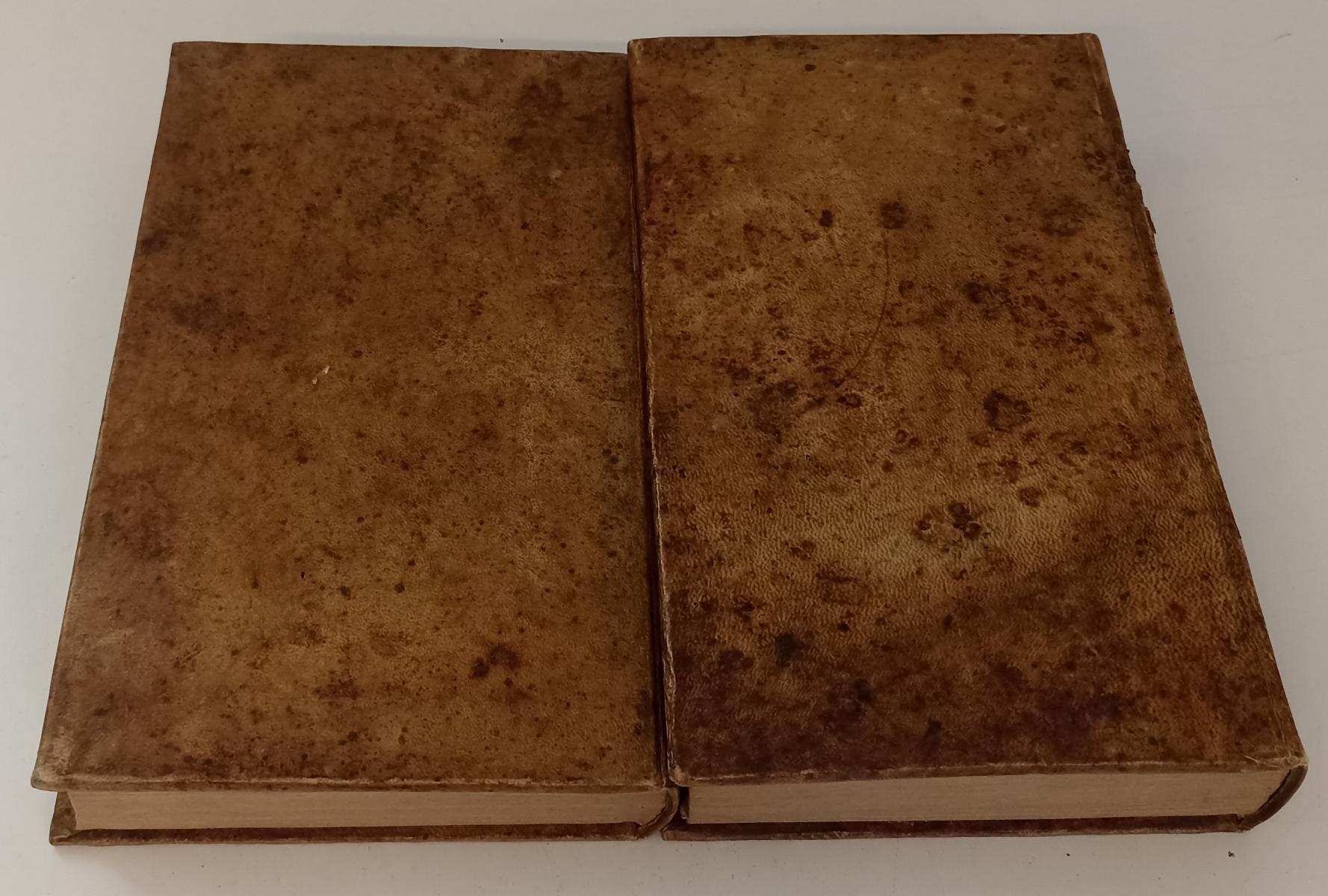 LH- PRINCIPJ DI PATOLOGIA E TERAPIA MEDICA SPECIALE 1/4- DE RAIMANN- 1838- XFS53