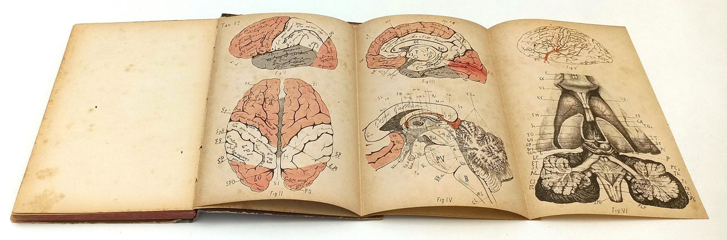 LQ- IL PROGRESSO TERAPEUTICO ANNUARIO 1900- SALTERINI- SAXLEHNER- 1900- C-YFS415