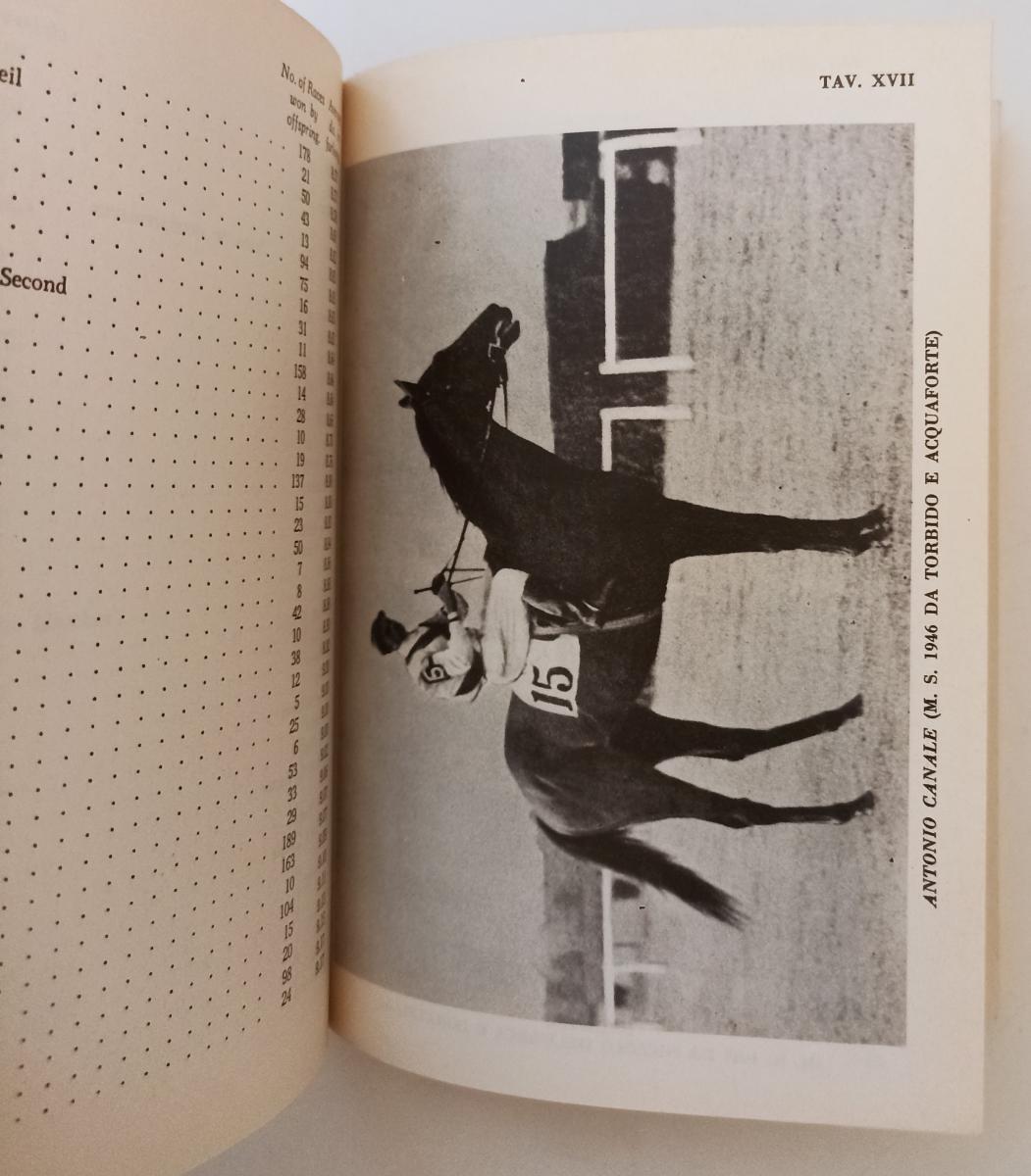 LZ- IL PUROSANGUE TOCCHI IN PENNA AL GALOPPO - TESIO - HOEPLI --- 1978 - B - XFS