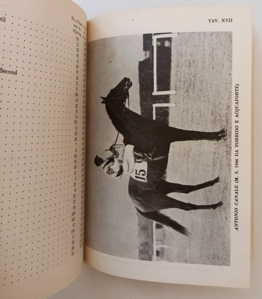 LZ- IL PUROSANGUE TOCCHI IN PENNA AL GALOPPO - TESIO - HOEPLI --- 1978 - B - XFS