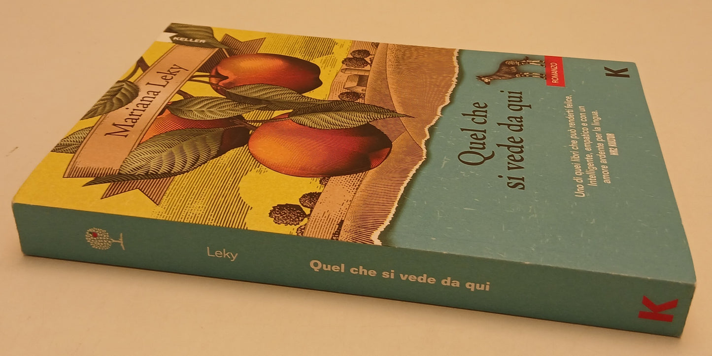 LN- QUEL CHE SI VEDE DA QUI - MARIANA LEKY - KELLER -- 1a ED.- 2019- B- YFS984