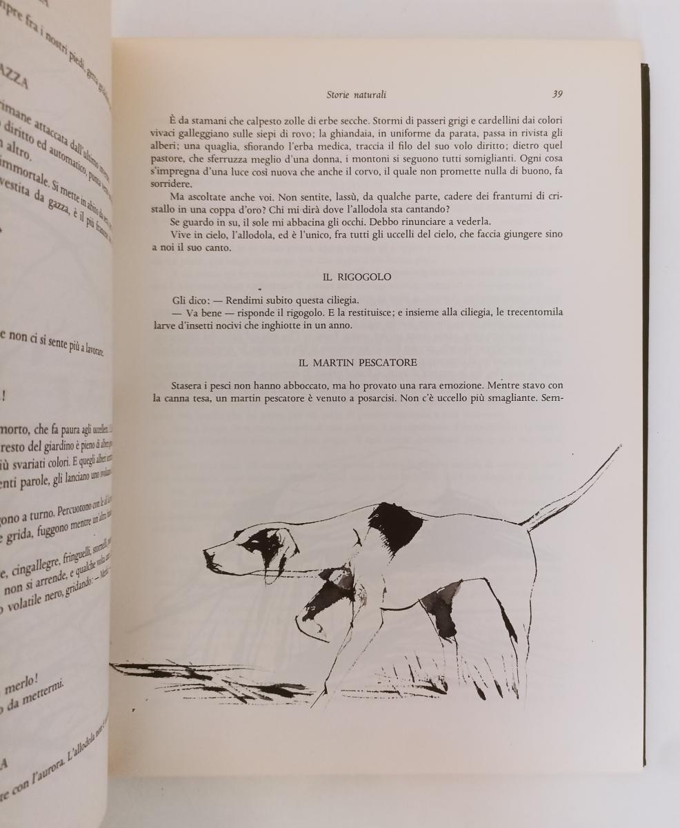 LN- RACCONTI DI CACCIA ill. LEO MATTIOLI -- SADEA SANSONI --- 1967 - C - ZFS369