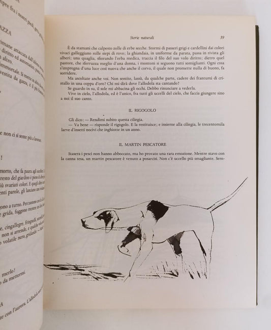 LN- RACCONTI DI CACCIA ill. LEO MATTIOLI -- SADEA SANSONI --- 1967 - C - ZFS369