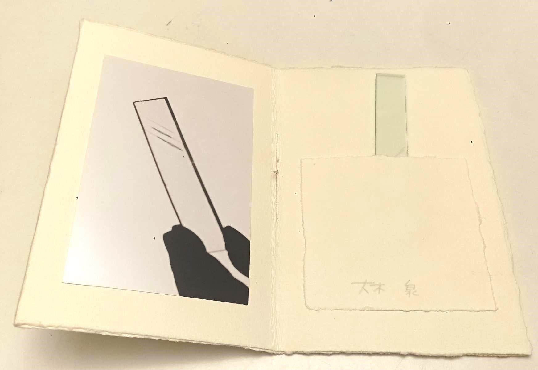 LT- RIFLESSIONE BRUNO MUNARI GIAN RUSCONI- OKI IZUMI- PULCINOELEFANTE- B- XFS134
