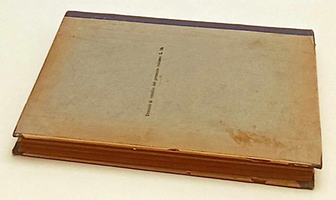 LR- RIVISTA DEL CLUB ALPINO ITALIANO 1929-VIII ANNATA COMPLETA- RILEGATO- YFS299