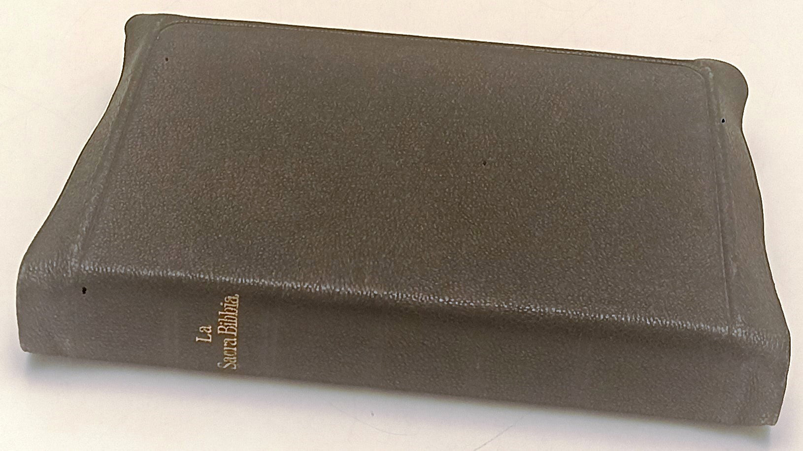 LD- LA SACRA BIBBIA- GIOVANNI DIODATI- DEPOSITO SACRE SCRITTURE- 1921- B- XFS107