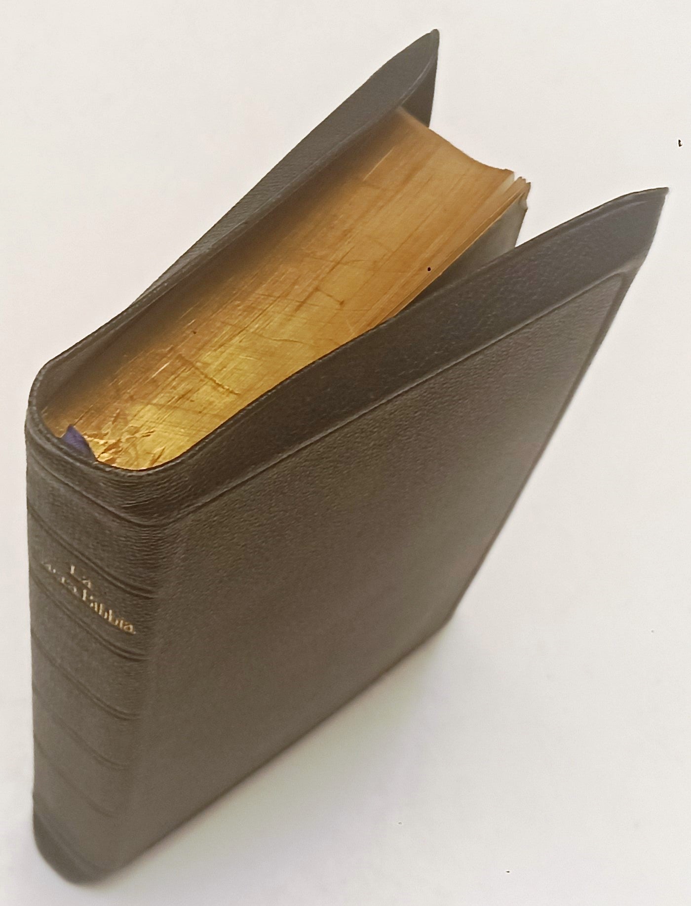 LD- LA SACRA BIBBIA- GIOVANNI DIODATI- DEPOSITO SACRE SCRITTURE- 1921- B- XFS107