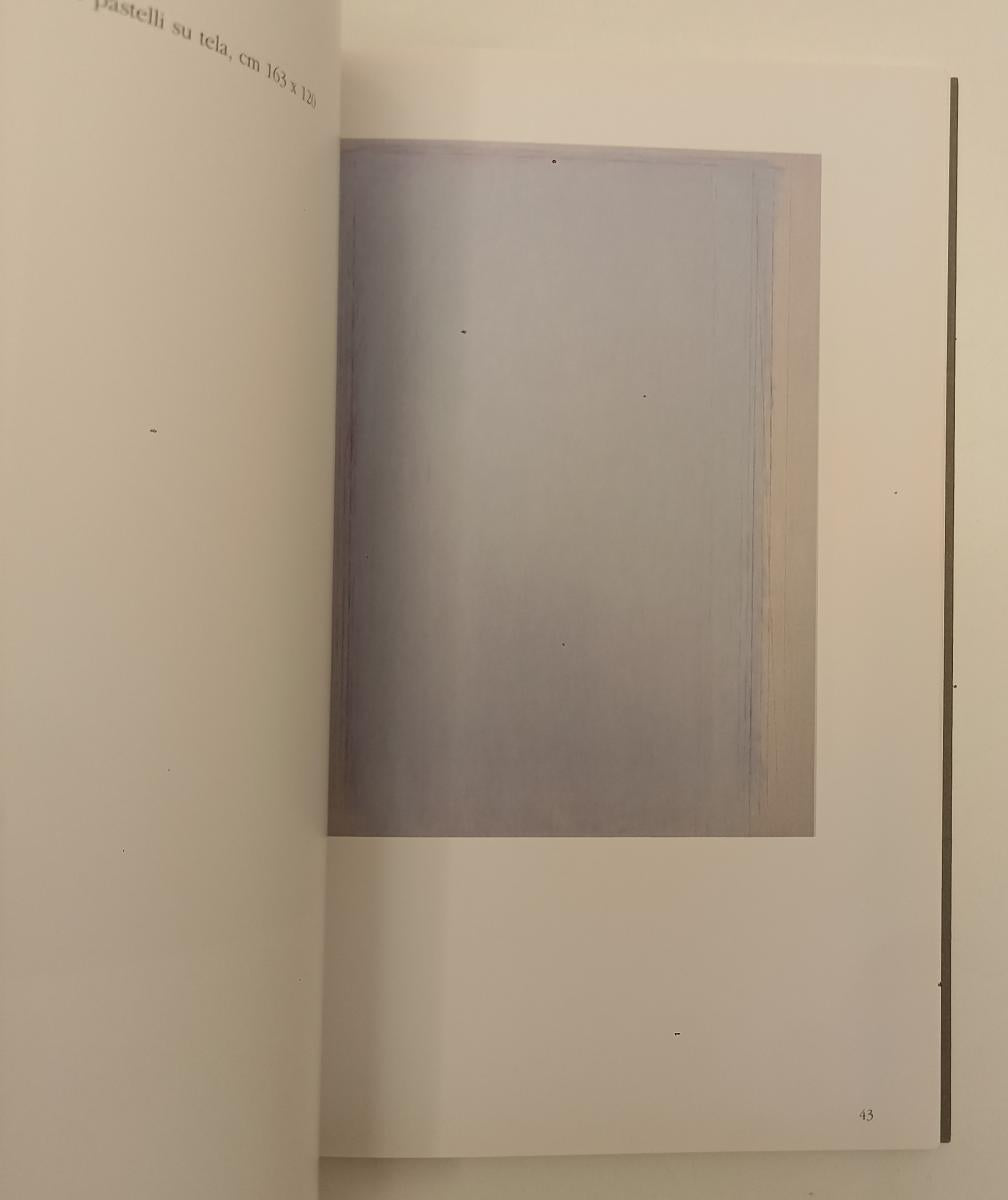 LT- SANDRO DE ALEXANDRIS IL VELO DELL'ARIA CATALOGO - GIAMPIERO BIASUTTI- XFS171
