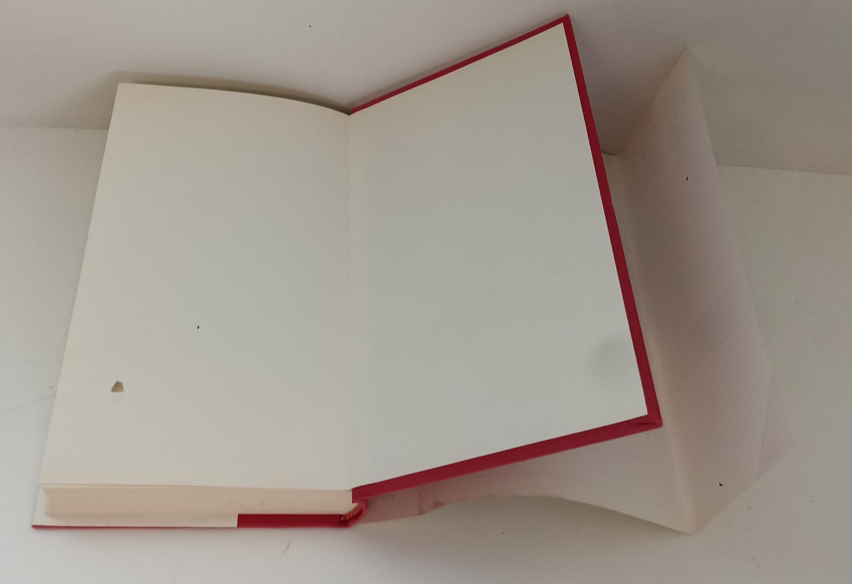LG- SCHELETRI TAGLIANDO ROSSO - STEPHEN KING - SPERLING KUPFER ---- CS - ZFS92