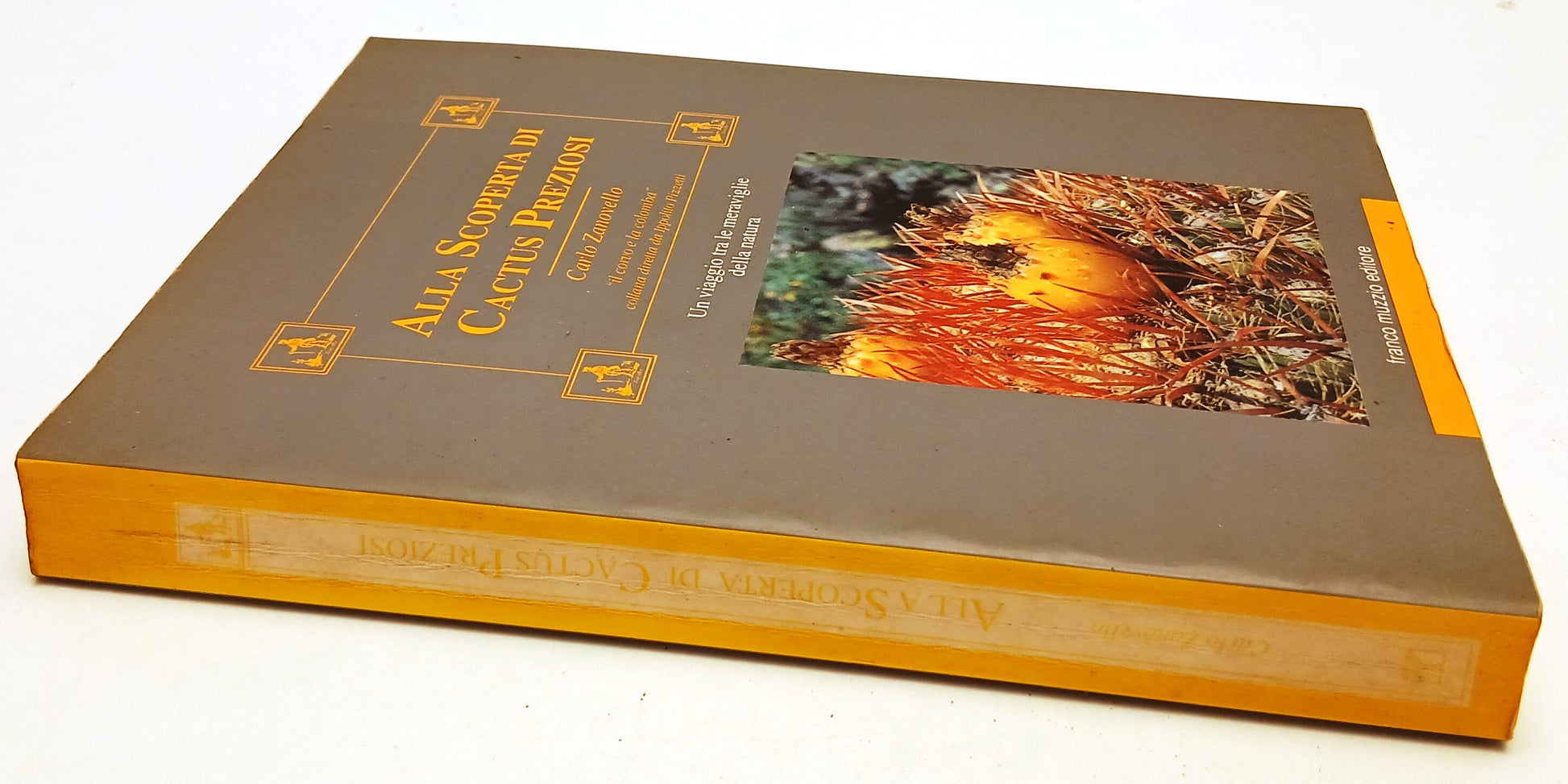 LZ- ALLA SCOPERTA DI CACTUS PREZIOSI- CARLO ZANOVELLO- MUZZIO--- 1992- B- YFS597