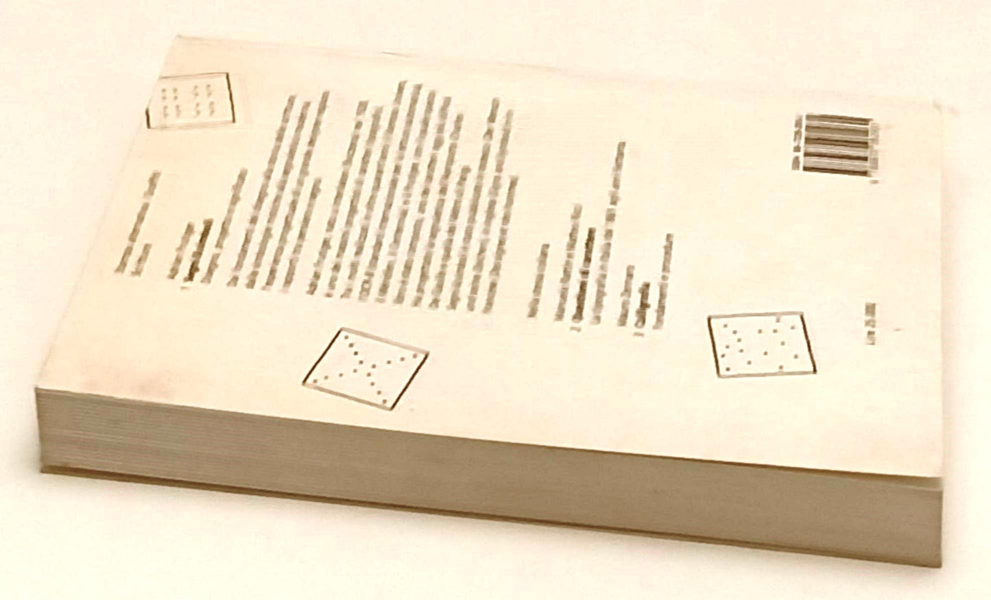 LZ- SEGNI & SIMBOLI - ADRIAN FRUTIGER - STAMPA ALTERNATIVA --- 1991 - B - ZFS161