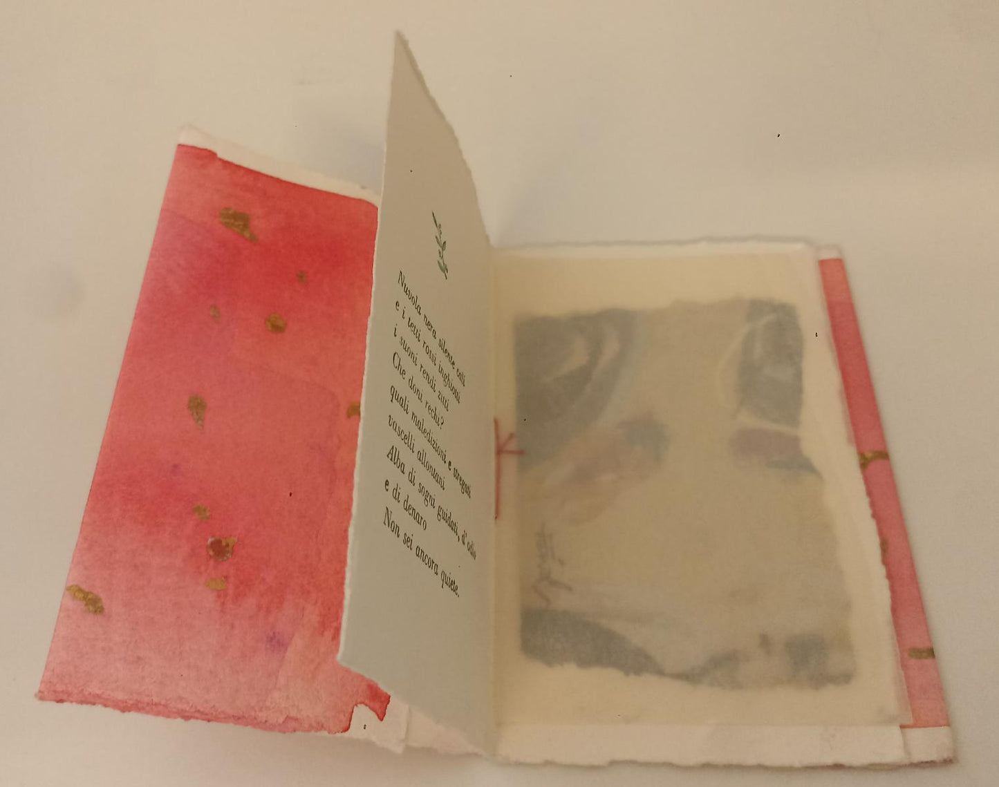 LT- SERA 19 ESEMPLARI FERIOLI MARIANI - LORENZA COZZI - PULCINOELEFANTE - XFS136