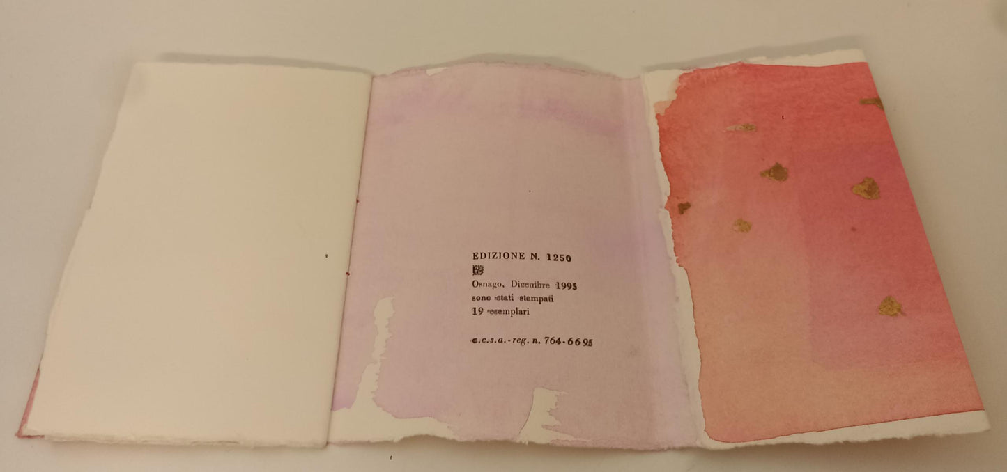 LT- SERA 19 ESEMPLARI FERIOLI MARIANI - LORENZA COZZI - PULCINOELEFANTE - XFS136