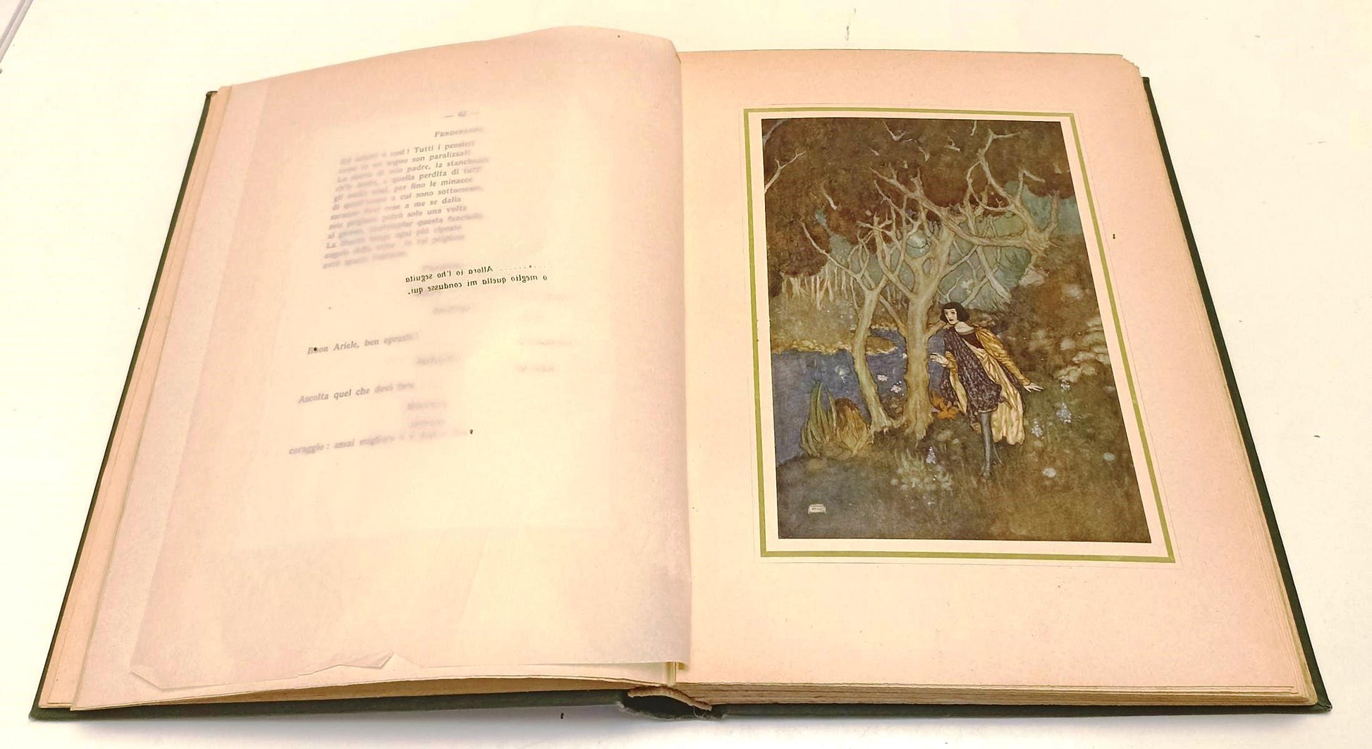 LN- LA TEMPESTA illustrata da EDMONDO DULAC- SHAKESPEARE- ARTI GRAFICHE-C-YFS458