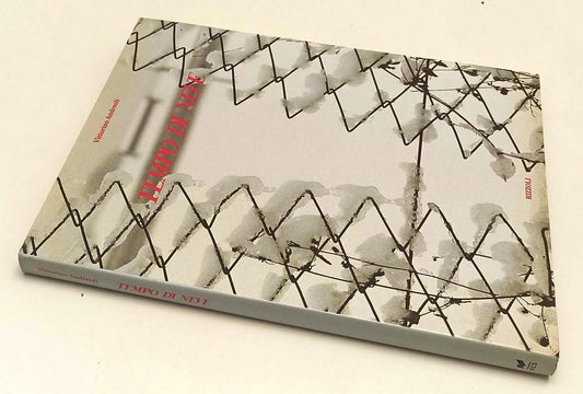 LT- TEMPO DI NEVE FOTOGRAFIE - VITTORINO ANDREOLI - RIZZOLI--- 1989- CS- YFS352