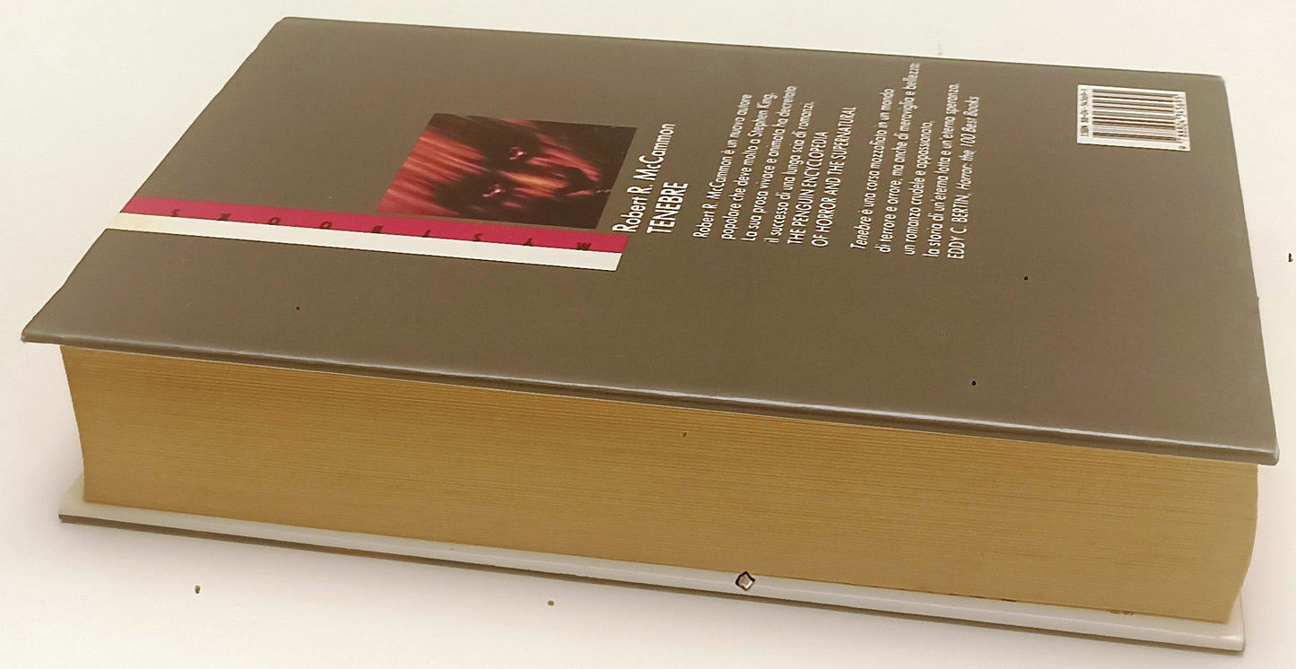 LG- TENEBRE- ROBERTO R. McCAMMON- MONDADORI- MYSTBOOKS- 1a ED.- 1991- CS- YFS422