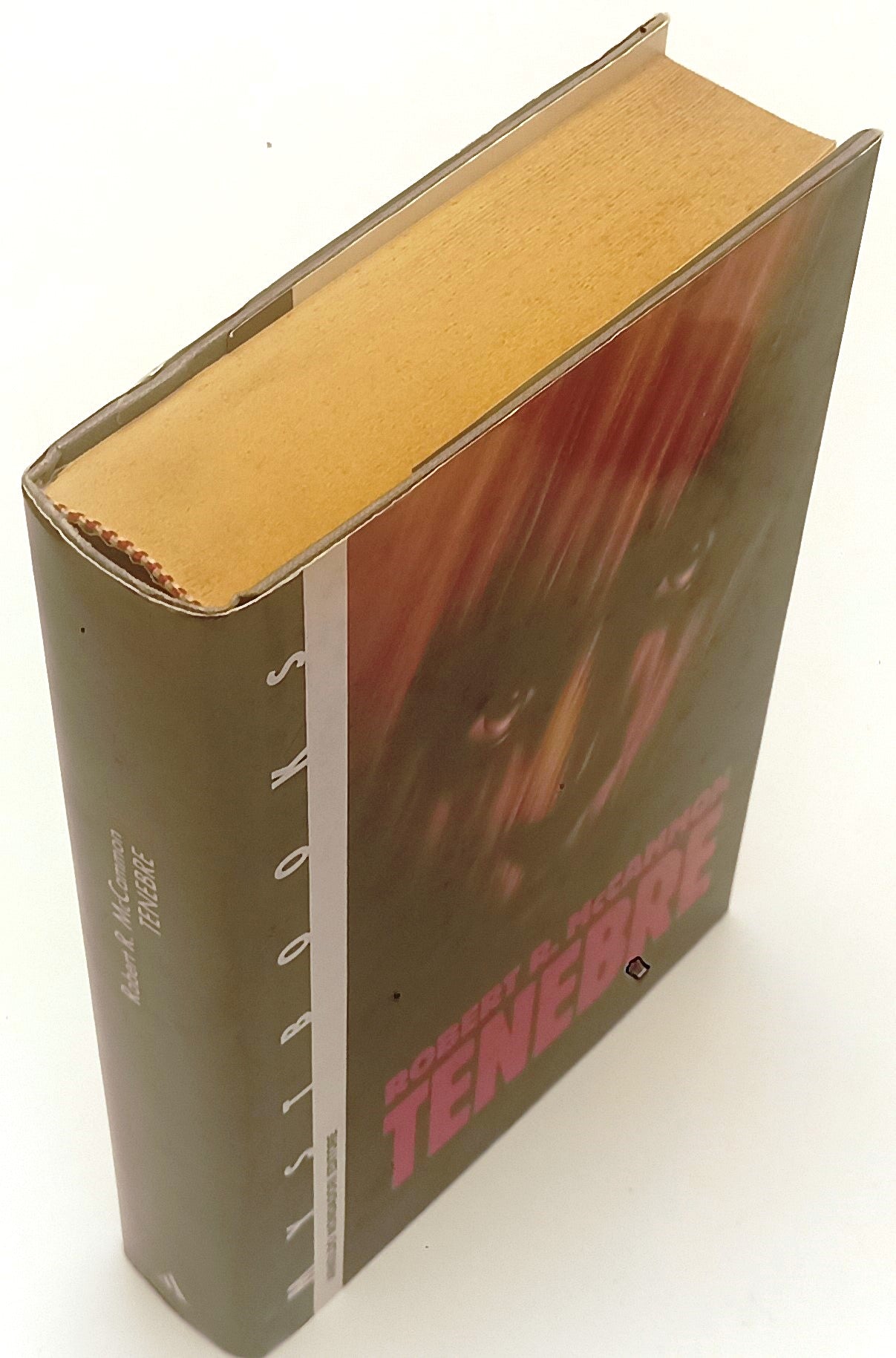 LG- TENEBRE- ROBERTO R. McCAMMON- MONDADORI- MYSTBOOKS- 1a ED.- 1991- CS- YFS422