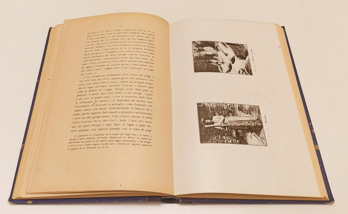 LH- IL TIGRE DESCRITTO MISSIONARIO GESUITA - CAMILLO BECCARI---- 1912- C- XFS10