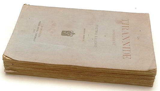 LH- LA TIRANNIDE BORGHESE - PIETRO ELLERO - ZANICHELLI -- 2a ED.- 1879- B- XFS61