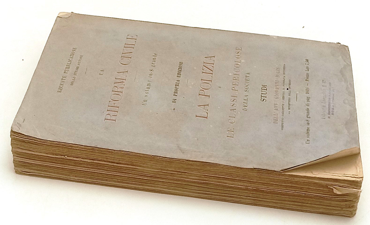 LH- LA TIRANNIDE BORGHESE - PIETRO ELLERO - ZANICHELLI -- 2a ED.- 1879- B- XFS61