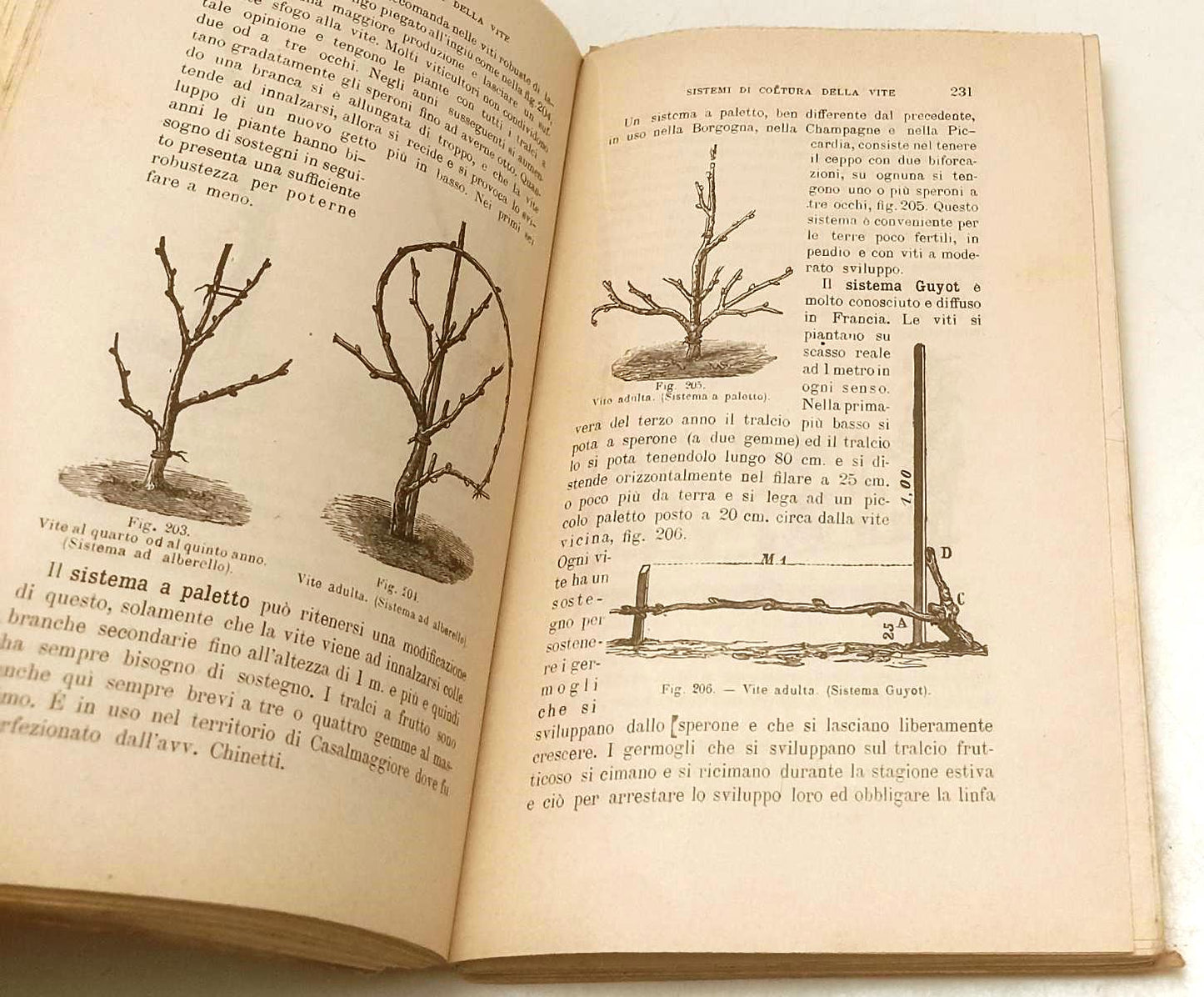 LZ- TRA I CAMPI - PINOLINI - VALLARDI - BIBLIOTECA AGRICOLA --- B- XFS62