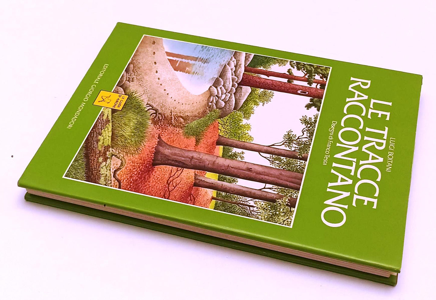 LZ- LE TRACCE RACCONTANO - BOITANI- MONDADORI- GUIDE DI AIRONE-- 1989- CS- XFS33