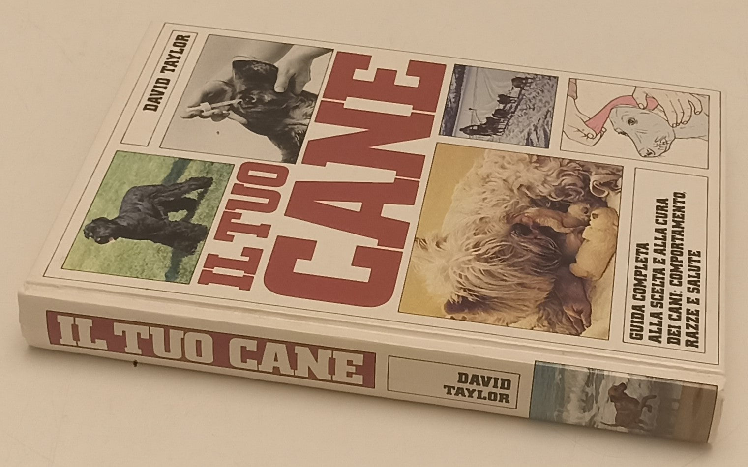 LZ- IL TUO CANE GUIDA COMPLETA RAZZA SALUTE - DAVID TAYLOR- CDE- 1987- C- YFS205