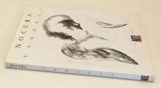 LT- VANGELI CATALOGO - NOCERA - ARTE --- 2000 - CS - YFS648