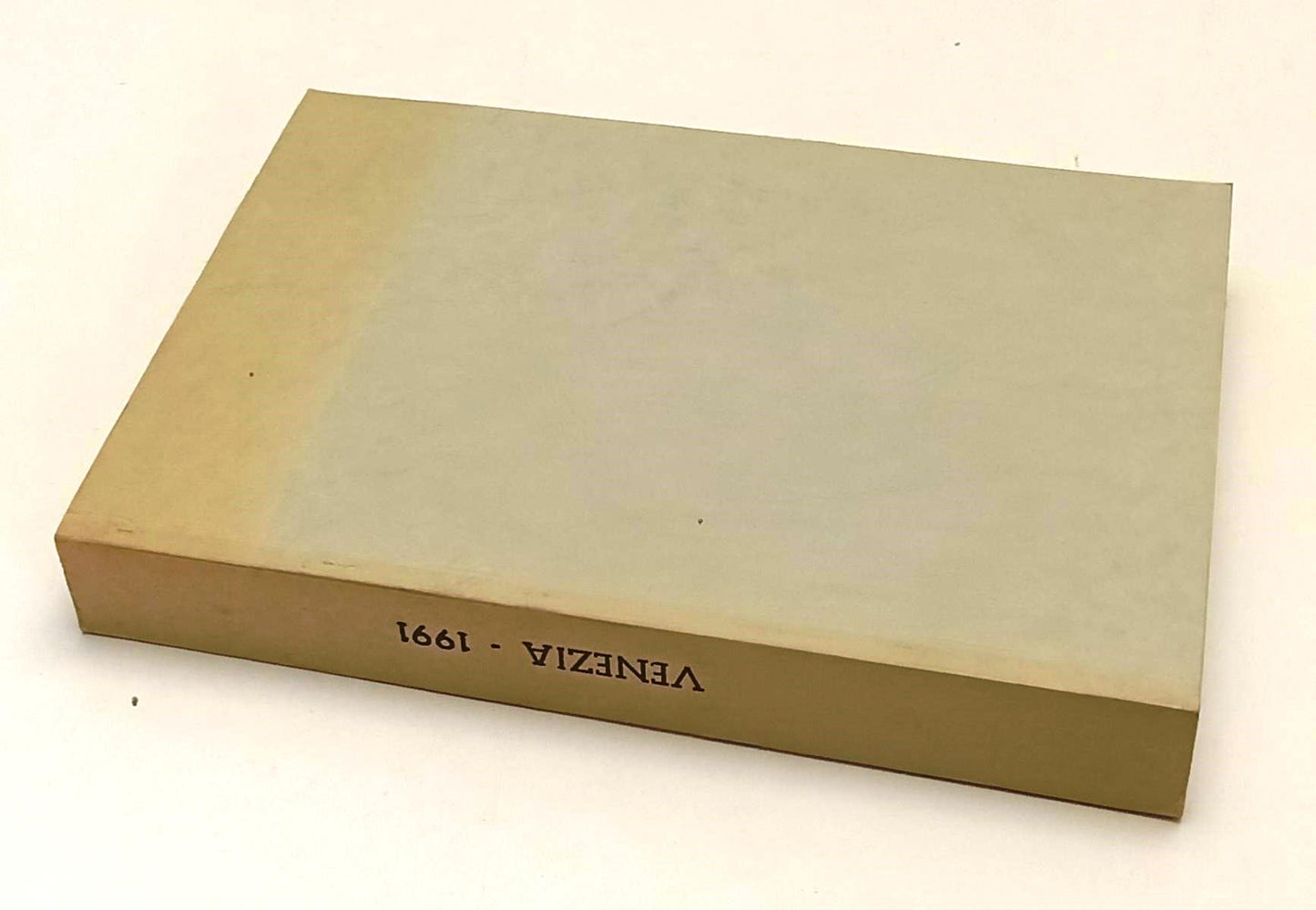 LT- 48a MOSTRA D'ARTE CINEMATOGRAFICA VENEZIA 1991 RASSEGNA STAMPA - B - YFS538