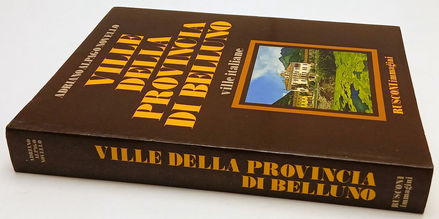 LT- VILLE DELLA PROVINCIA DI BELLUNO VENETO 1- ALPAGO NOVELLO- RUSCONI-CS-YFS848