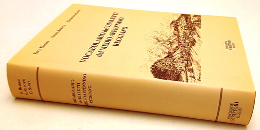 LZ- VOCABOLARIO DIALETTI MEDIO APPENNINO REGGIANO- BIAGINI RABOTTI SANTI- YFS985